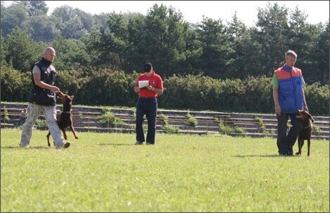 Sasha - Estonia championship 2007  in IPO 3